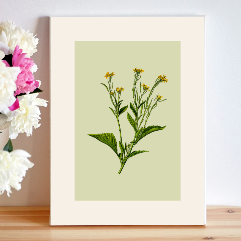 Pastel Green Yellow Flowers Wall Art PRINTABLE ART, Botanical Wall Art, Danish Pastel, Boho Decor, Beige Wall Art, Artworks Flowers, Modern Organic Home Decor - AlloFlare