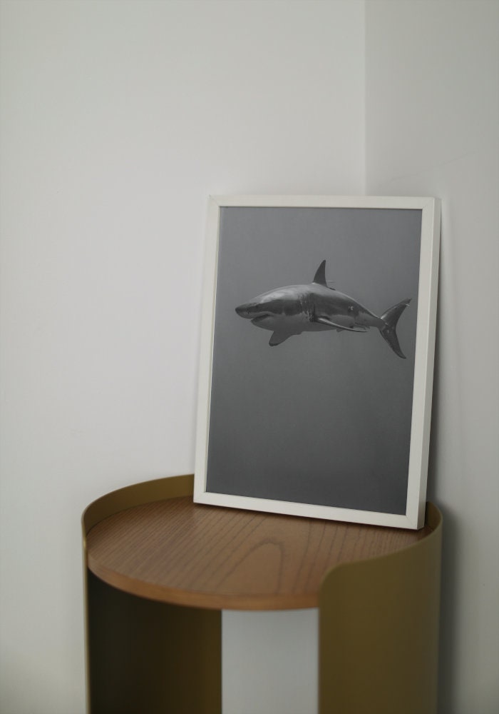 Black and White Shark Poster DIGITAL ART PRINT, shark wall art, Great White Shark, Monochrome Nature Wall Art, coastal wall decor, ocean