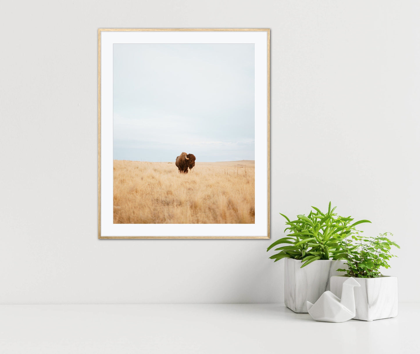 Modern Farmhouse wall decor DIGITAL PRINT, Bison Print, Photography Print, Bison wall art, country style decor, Country Animal Print