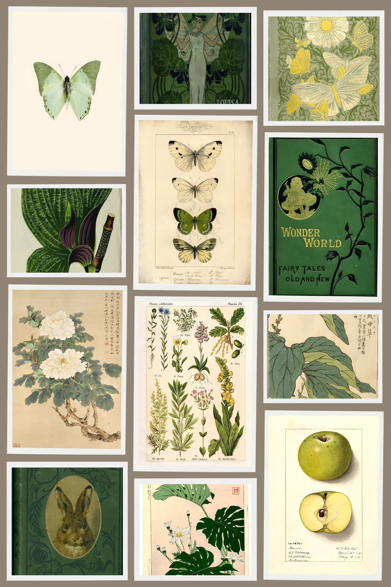 200 PCS Vintage botanical wall collage kit DIGITAL PRINT, Cottagecore posters, Fairycore bedroom decor, Botanic wall decor, Vintage wall art