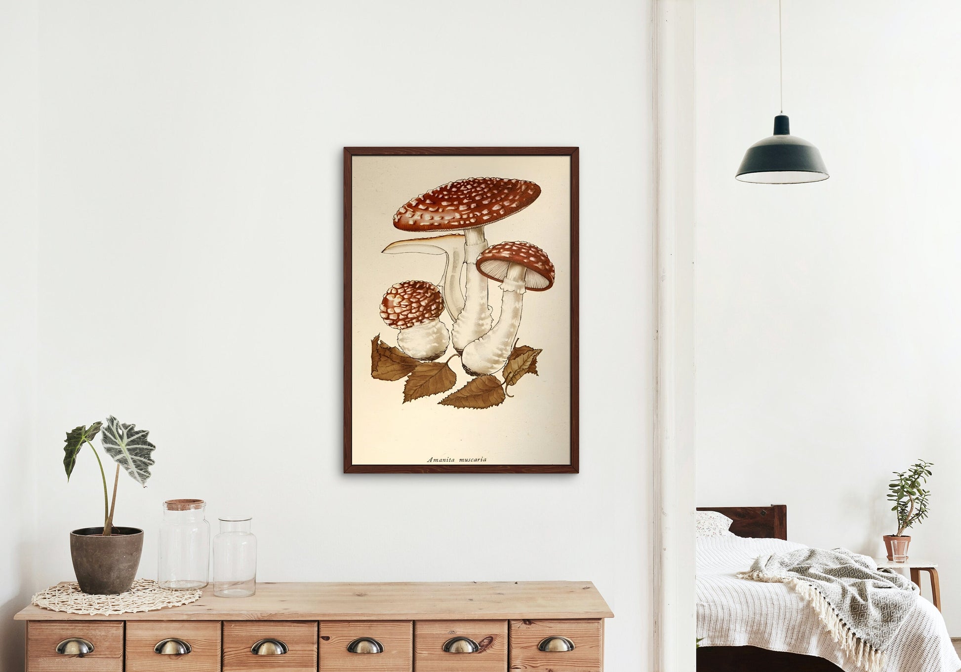 PRINTABLE Vintage mushroom print set of 3, Rustic French Mushroom, Cottage Aesthetic, Botanical wall art, Biology Poster, Vintage decor