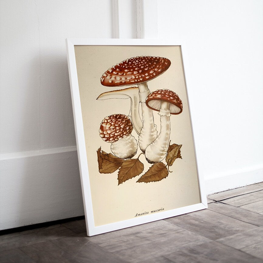 PRINTABLE Vintage mushroom print set of 3, Rustic French Mushroom, Cottage Aesthetic, Botanical wall art, Biology Poster, Vintage decor
