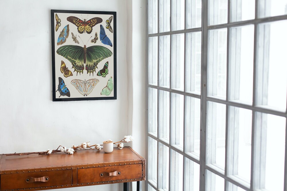 Vintage Butterfly Art DIGITAL PRINT, Trendy Download, French Insect Chart, Butterfly Illustration Wall Art, Biology Poster, Vintage decor