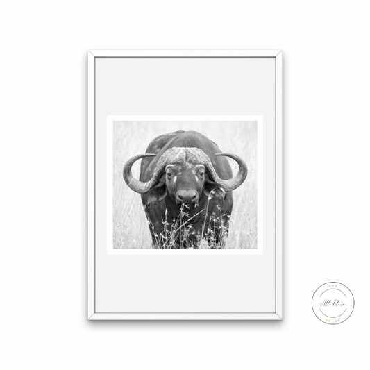 Buffalo Picture Black and White DIGITAL PRINT, American Rustic Country Art, Ranch Decor, Buffalo Photography, Country Animal Print, Western