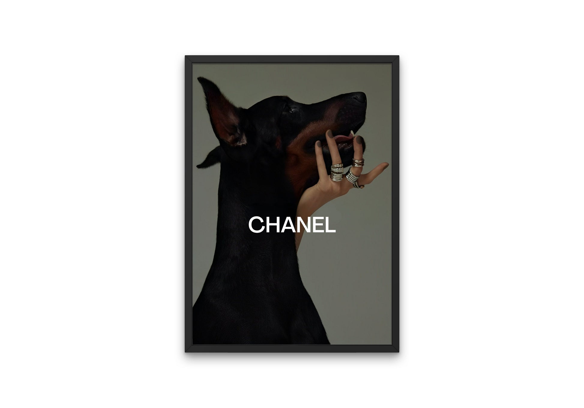 Luxury Fashion Doberman Poster PRINTABLE, Designer Wall Art, Digital Luxury Fashion Wall Art, Designer Dog Print, Doberman Poster, Hypebeast