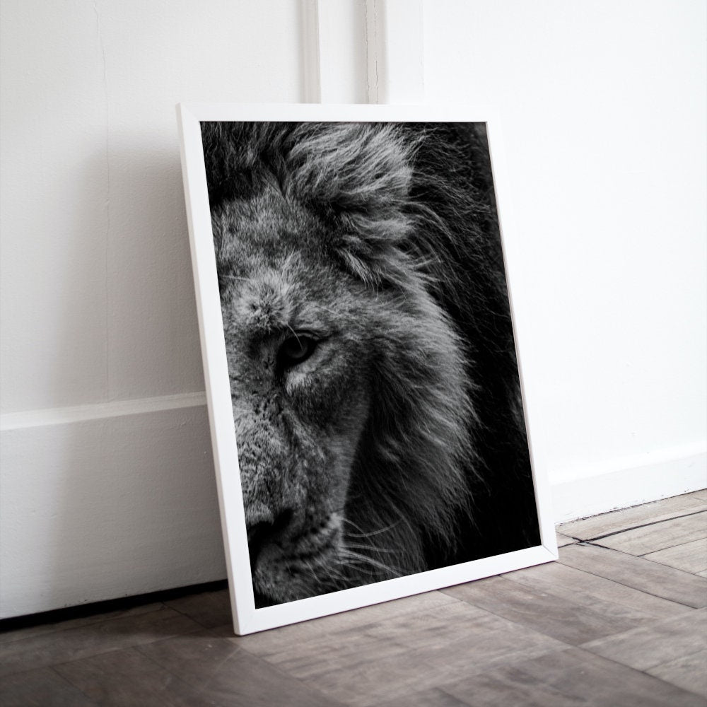Black and White Lion Head Poster INSTANT DOWNLOAD, Lion image, lion head, cat themed gift, cool poster, Wilderness Photography, Scandinavian