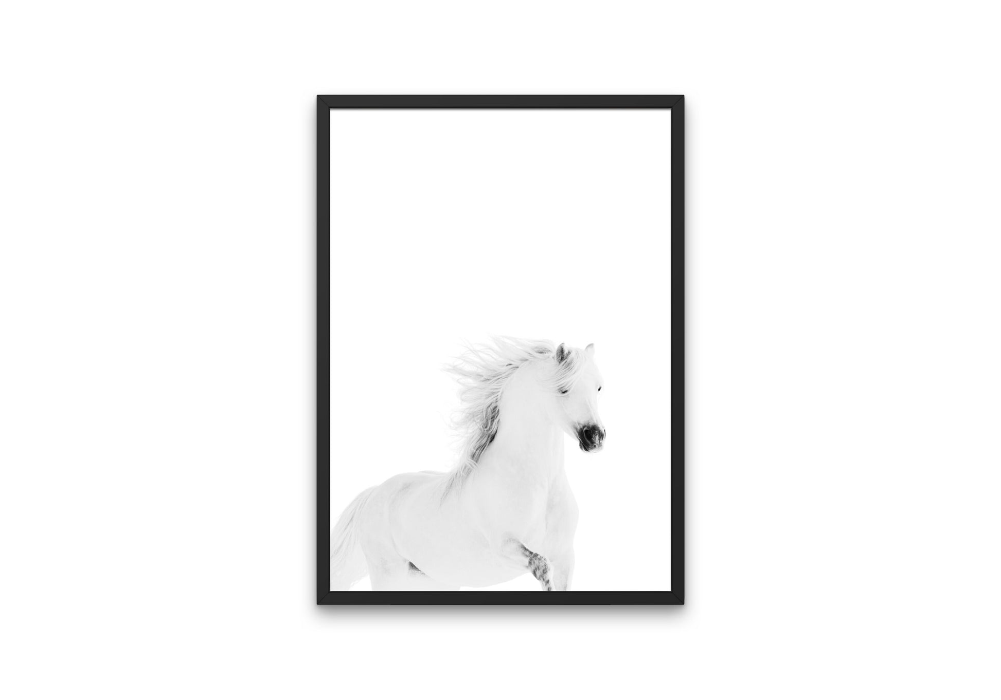 White Horse Picture DIGITAL PRINT, wild horse print, Ranch Cowboy Decor, Country Animal Print, light academia print, Nordic equestrian print