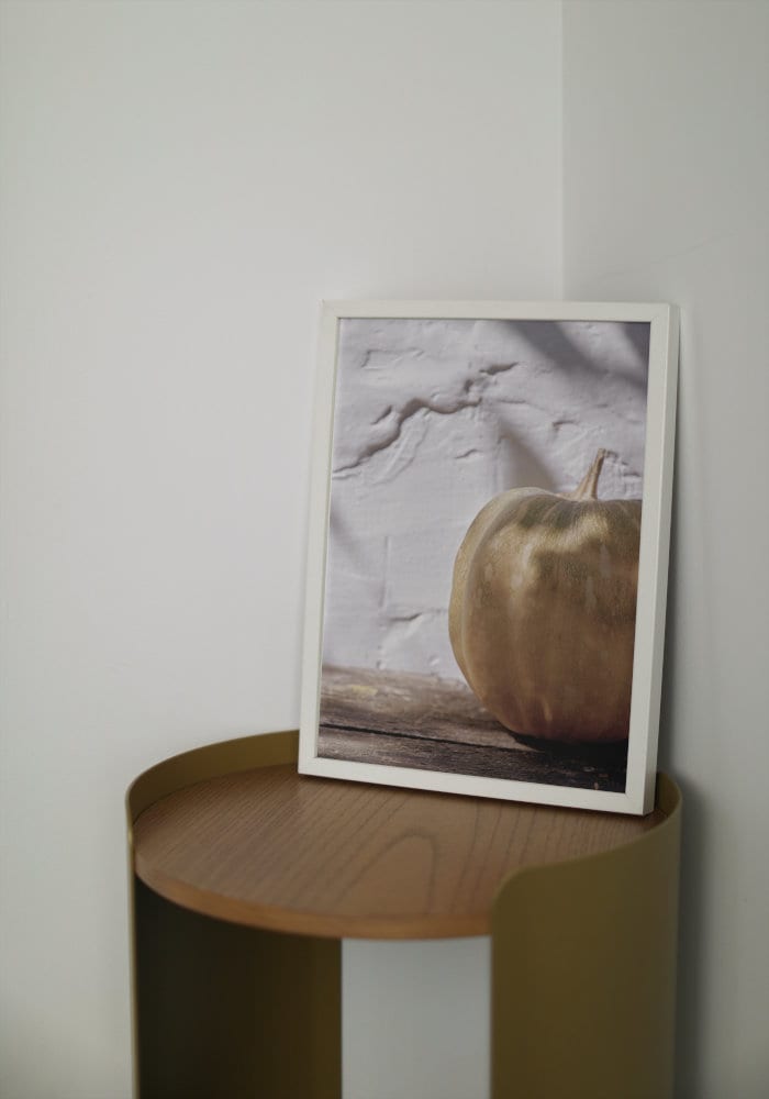 Fall Autumn Décor set of 4 DIGITAL PRINTS, Botanical terracotta print, fashion photography, boho artwork, neutral wall art, pumpkin poster