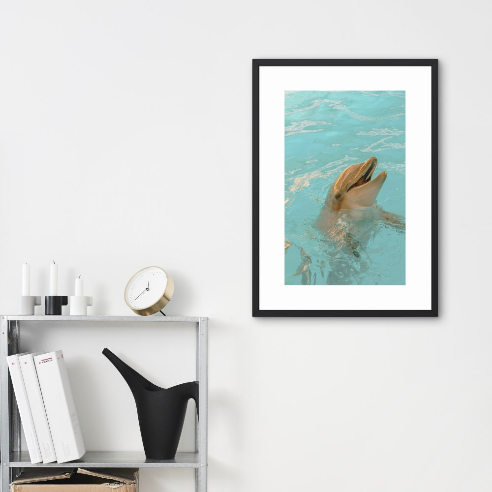 Dolphin Poster INSTANT DOWNLOAD, coastal aesthetic decor, under the sea, sea creature print, dolphin wall decor, turquoise poster, fish art