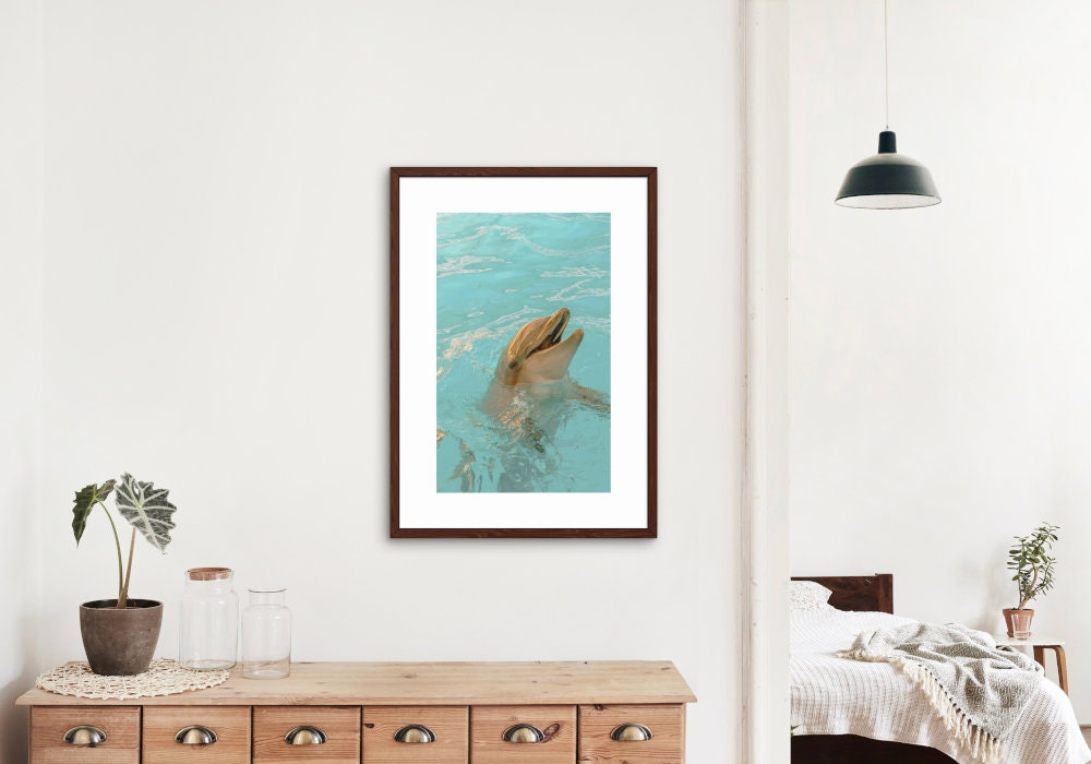 Dolphin Poster INSTANT DOWNLOAD, coastal aesthetic decor, under the sea, sea creature print, dolphin wall decor, turquoise poster, fish art