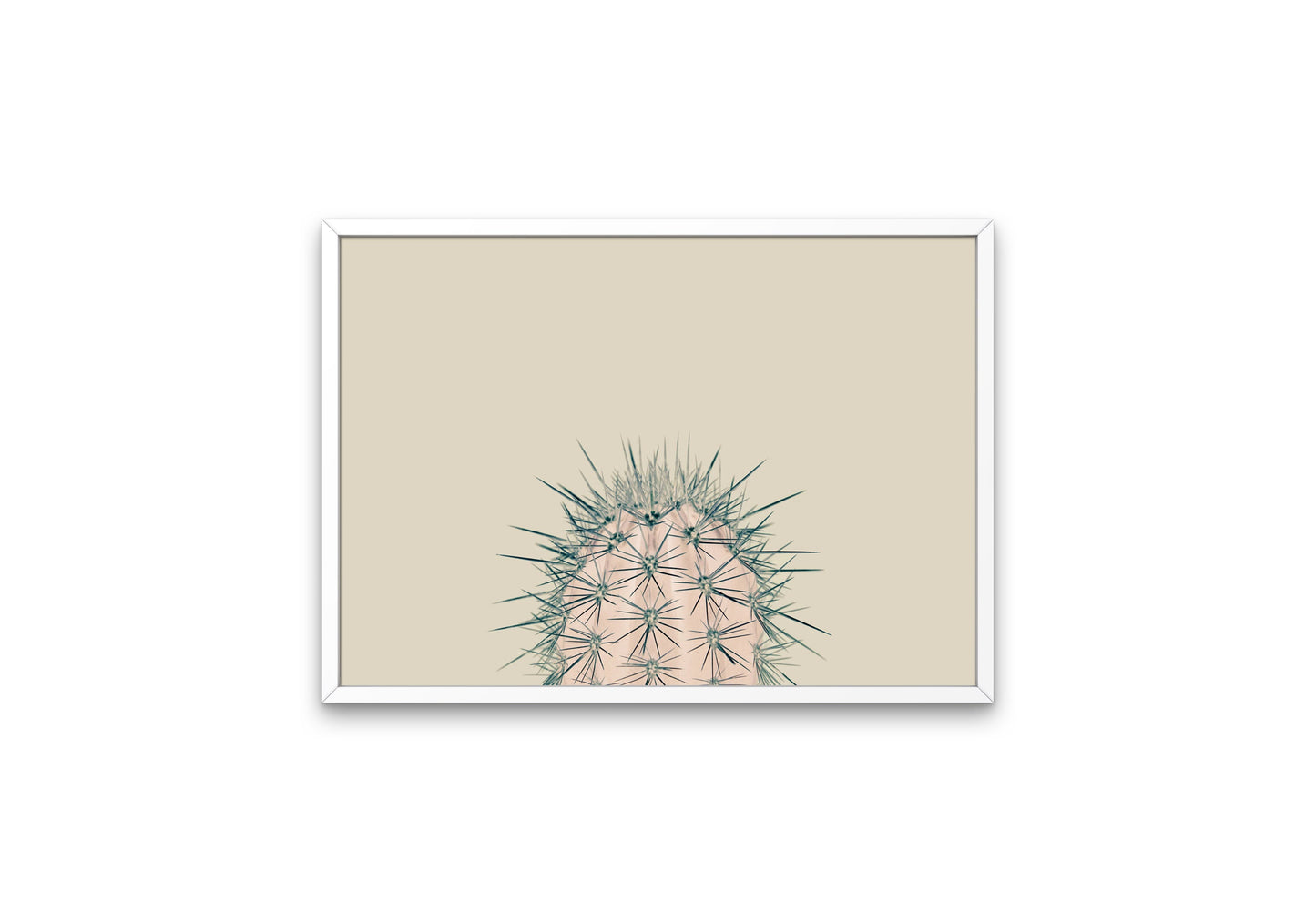 Beige Cactus Wall Art DIGITAL PRINT, Cactus poster, Landscape Prints Wall Art, modern country style print, houseplant poster, large cactus