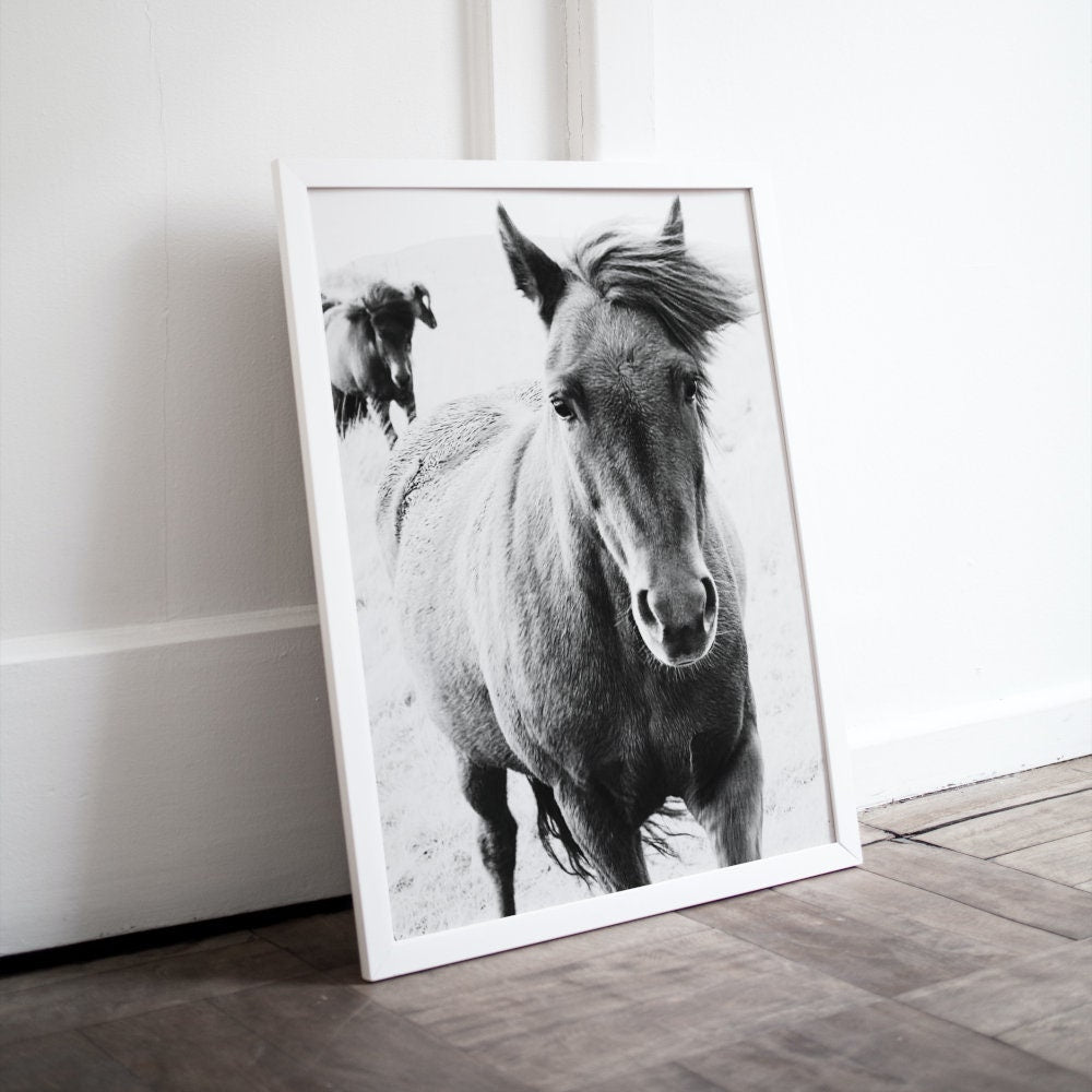 Black and White Horse Picture Two Piece Wall Art DIGITAL ART PRINTS, wild horse print, Country Animal Print, Nordic equestrian farmhouse