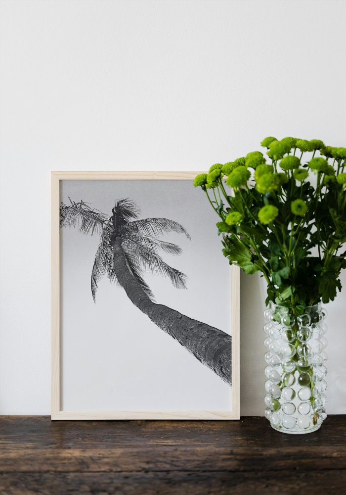 Black and White Coastal Wall Art Set of 3 DIGITAL ART PRINTS, Ocean Nature Prints, Modern Minimalist, Palm Tree Surfboard Photography Prints