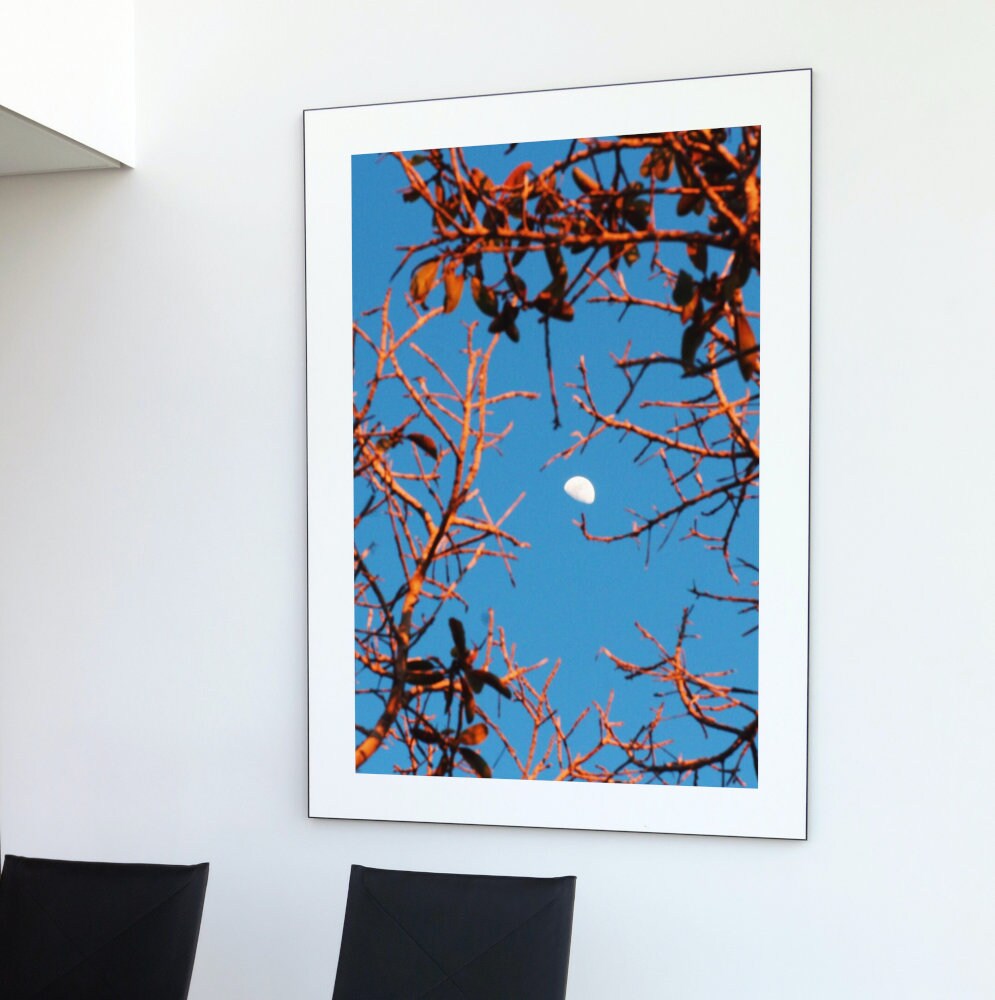 Moon Over Branches Print INSTANT DOWNLOAD, Indie wall art, Moon posters, Night sky, Mystical Celestial, sun and moon print, light academia