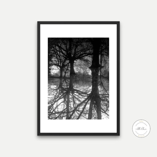 Black and White Roots and Trees Abstract Photography DIGITAL ART PRINT, Indie wall art, Abstract alternative wall art, pop surrealism art | Posters, Prints, & Visual Artwork | alternative decor, alternative wall art, art for bedroom, art ideas for bedroom walls, art printables, avant garde wall art, bathroom wall art printables, bedroom art, bedroom pictures, bedroom wall art, bedroom wall art ideas, bedroom wall painting, Black white Print, buy digital art prints online, buy digital prints online, canvas w